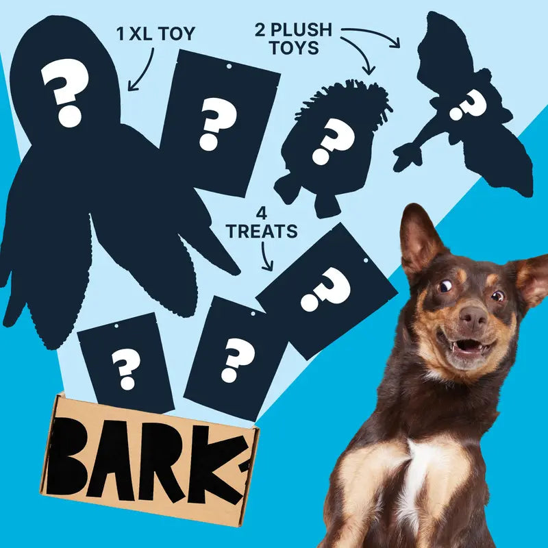 Dog Toy & Treat Surprise Box