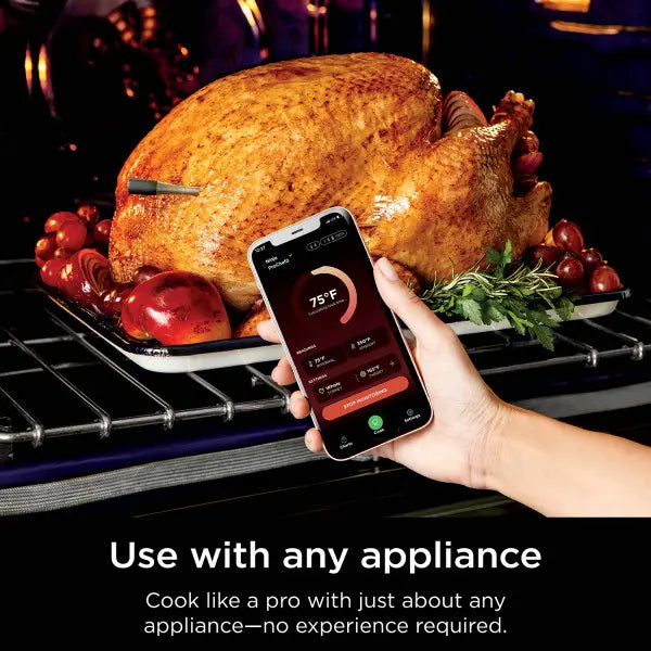 Wireless Meat Thermometer